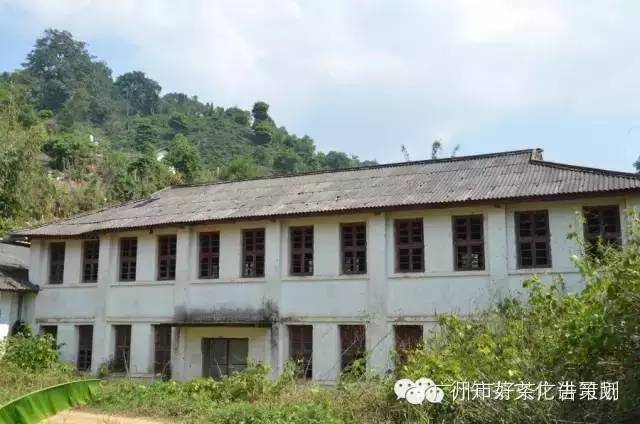 南糯山勐海茶厂旧址,拔玛古茶园.